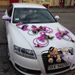 Автомобілі