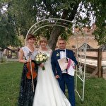 ViolАnna Скрипка #6546