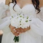 Координатор