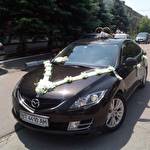 Автомобілі