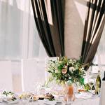 Координатор