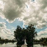 Дмитрий Войналович #2534