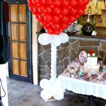 Олег и Юлия Шариковы #4358