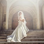 Михаил Пустовит #3226