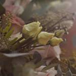 Відеооператор