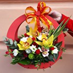 Юра  Сопівник #7665