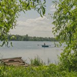 Денис Женгал #4458