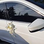 Вадим Рибалко #9709
