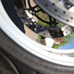 Юльчик Лапульчик #9823