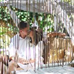 Андрей Коломиец #1658