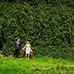 Елена Валебная #3675