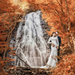 Олександр Легеня #3117