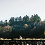 Олександр Олександр Кернякевич #1615