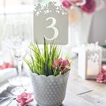 Координатор