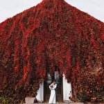 Антон Васкевич #6043