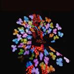 Шоу-программа