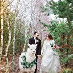 Анастасія Грицаєнко #3187