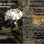 Координатор