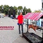 Вишиванка Кейтерінг #2792