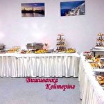 Вишиванка Кейтерінг #2792