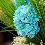 Bel'fioro Студія флористики та декору #5484