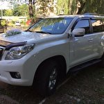 wedcar wedcar #6940