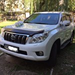 wedcar wedcar #6940