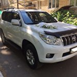 wedcar wedcar #6940