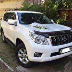 wedcar wedcar #6940