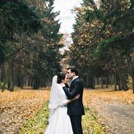 EverGreenStudio Антон Кор #3787