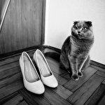 Olya Khmil #679