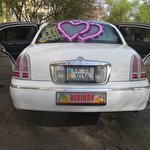 дмитрий бондаренко #4682