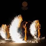 Шоу-програма