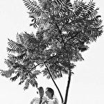 Vesheleniy Michael Вешеленій #2560