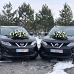 Іван Nissan #8729