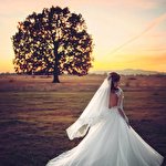 Олександр Смутко #2152