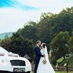 Автомобили