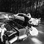 Настя Пироженко #2219