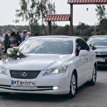 Автомобили