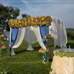MOPIS WEDDING & EVENT #2699
