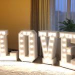 Ярина Голій #8628