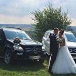 Автомобілі