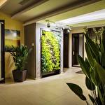 Виконавець