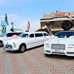 ДИВА Компания #4655