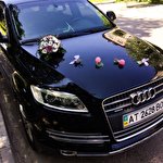 Віктор Віктор #6803