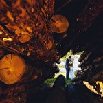 Сергей Тиссо #156