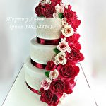 Ірина Мичко #940