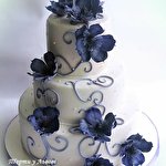 Ірина Мичко #940