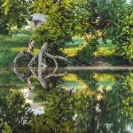 Александр Малыш #2033