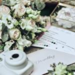 Катерина Дорошенко #10234